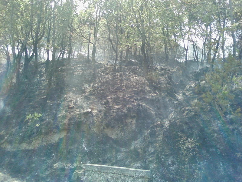 Onti, zona bruciata.jpg